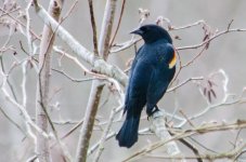 DSC_5814.jpg