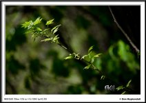 D5100_02144.jpg