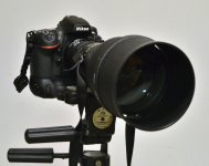 D800w30028front2.jpg D800w30028front2.jpg