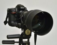 D800w30028front2.jpg