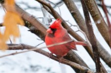 DSC_5832.jpg