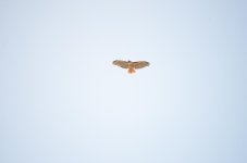 11th april 2013 010.jpg
