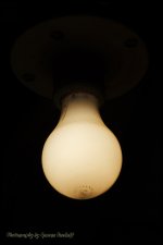 Day102LightBulb.jpg