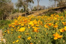 DSC_4974_edited-1.jpg