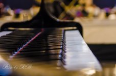 20130413-_1RB4220.jpg