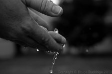 Hands_Sm.jpg