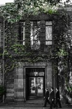 Ivy green.jpg