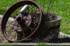 DSC_5942.jpg