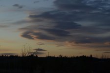 SUNRISE 061.jpg