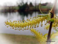 DSCN8619002.jpg