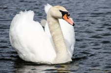 DSC_5962.jpg