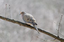DSC_5972.jpg