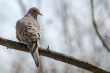 DSC_5974.jpg