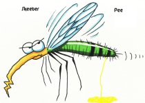 mosquito.jpg