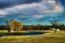 pond willow21200.jpg