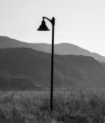 LampstandNET.jpg