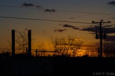 DSC_5981.jpg
