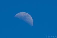 DSC_5998.jpg