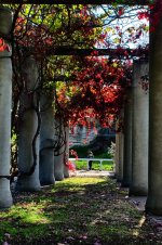 The-forgotten-garden.jpg The-forgotten-garden.jpg