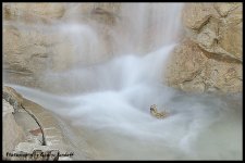 Day108FoggyWater.jpg