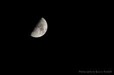 Day109MoonShot.jpg