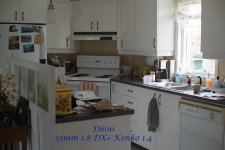 DX lens+converter on FX.jpg