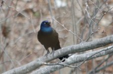 DSC_6035.jpg
