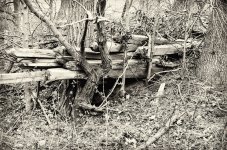 DSC_6036-Edit.jpg
