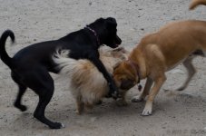 DSC_6040.jpg