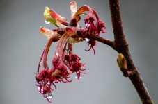 DSC_6058.jpg