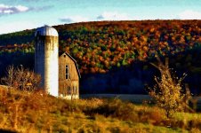 barn2 (800x531).jpg