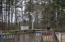 DSC_6073.jpg
