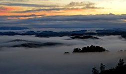 Untitled12-1.jpg