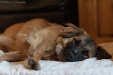 DSC_1753.jpg