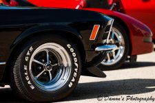 DSC_4315.jpg