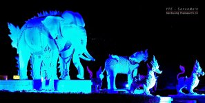 chiangmai-nightsafari-5.jpg