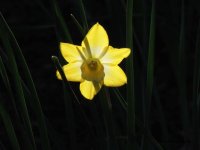DSCN8943006.jpg
