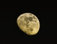 spring moon.jpg