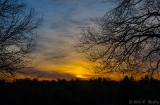 DSC_6159.jpg