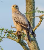 DSC_4858.jpg
