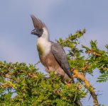 DSC_4978.jpg