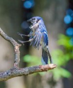 DSC_5161.jpg