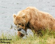 DSC_0172.jpg
