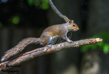 DSC_4927.jpg