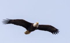 DSC_1024.jpg