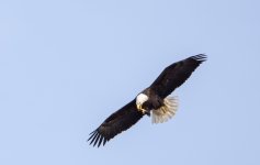 DSC_0992.jpg