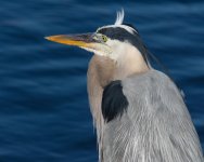 D72_0845.jpg