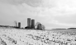 DSC_0774_4.jpg