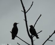 DSCN3022.jpg