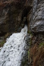 DSC_1105_00001.jpg